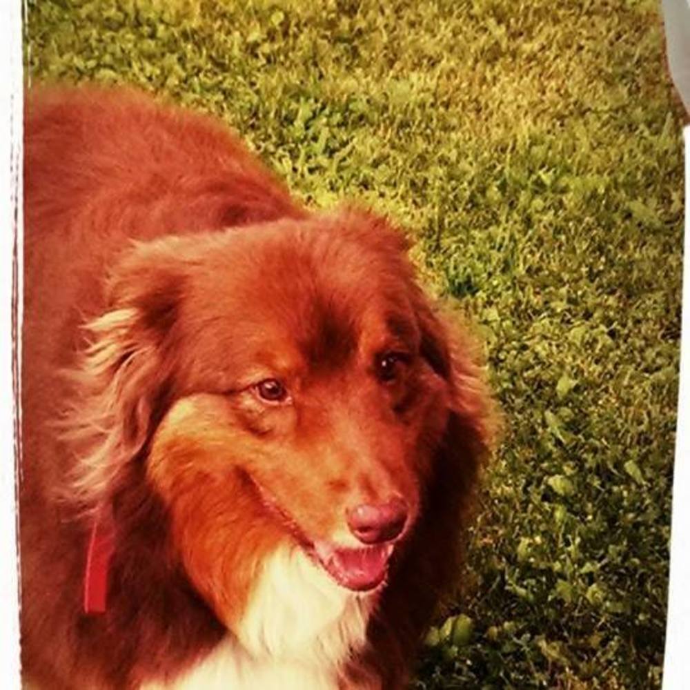 Meet your Posher, Annette